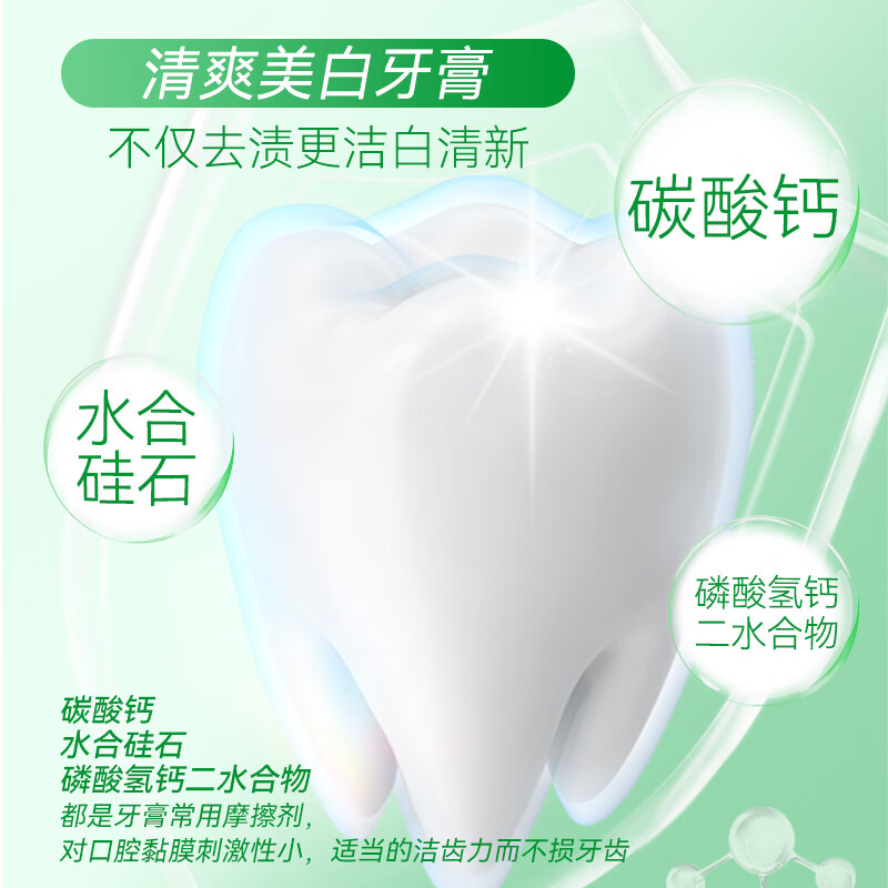 牙博士【良心国货】植萃护龈牙膏清洁牙齿减轻牙渍清新口气 【亮白护龈套装】105*3+6牙刷