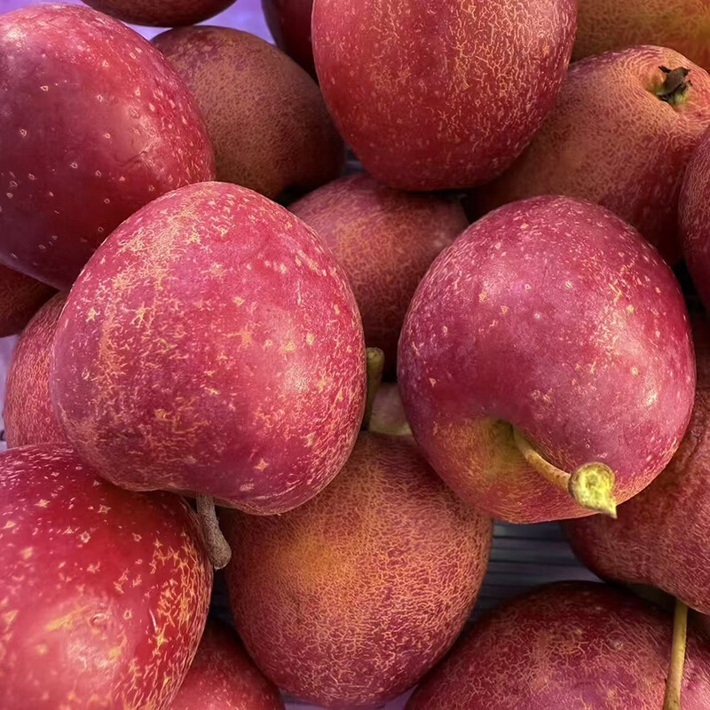 鲜姿麻脸鸡心果东北特产新鲜小苹果脆甜锦绣海棠新鲜孕妇水果水果礼盒 鸡心果净重4斤实惠装(单果30-35g)