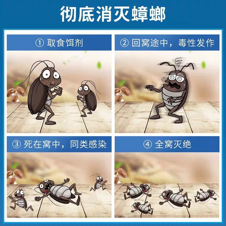 CNDK蟑螂药家用灭蟑螂无毒卧室厨房家用宠物孕妇婴儿室内蟑螂屋一扫光 开袋就死+传染死亡(50袋灭蟑药）