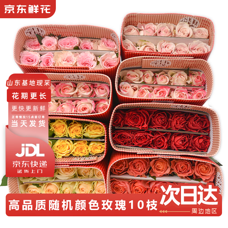 京东鲜花玫瑰花随机10枝鲜切花礼品花新年花年宵花基地现采现发源头直发