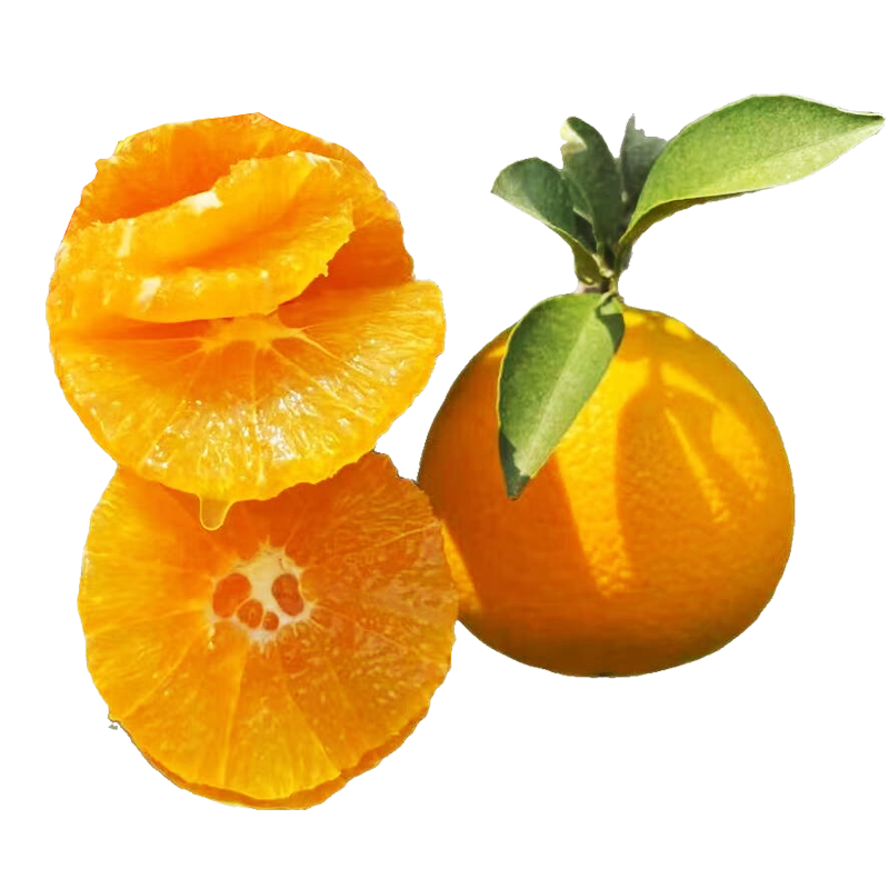 秭归脐橙伦晚春橙新鲜脐橙 应季生鲜水果时令孕妇手剥橙子整箱送礼 【正宗伦晚】净重7斤 75mm+