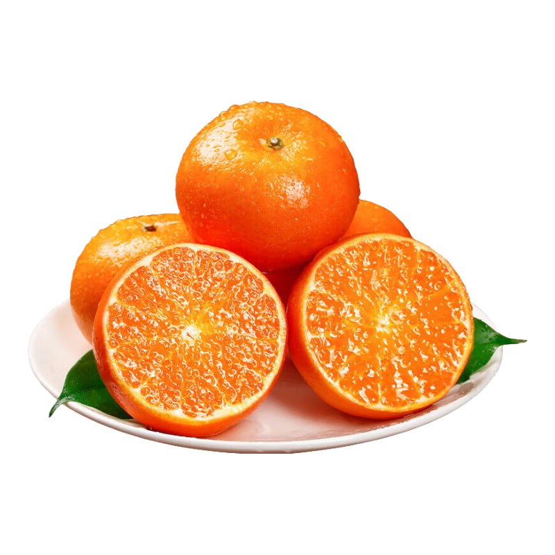 ���������ָ� ɳ������ ��������ˮ�� ����9�� ����55mm+ 15.9Ԫ