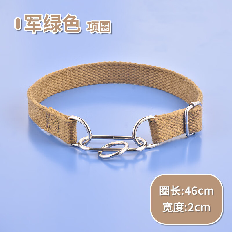 �������Ȯר��P��������Ӻ�ǣ���� �޲���Ȧ������ɫ�� �޹��