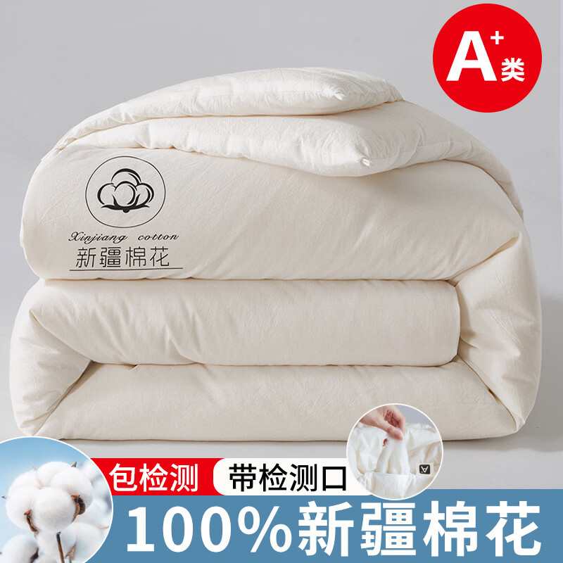 元族2025新款A类母婴级水洗棉新疆棉花被冬被被子被芯 棉白 150*200cm3斤