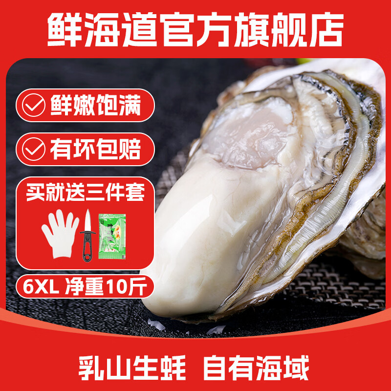 鲜海道鲜活乳山生蚝6XL 净重10斤 12-18只 生鲜海鲜贝类 源头直发