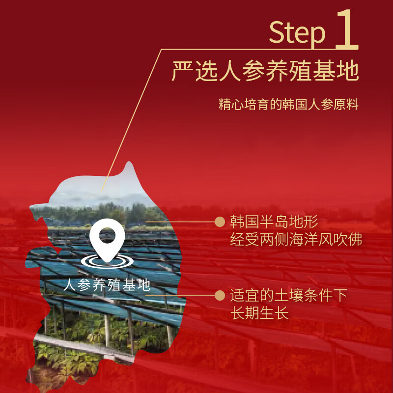 正官庄（korean red ginseng）EVERYTIME植物饮品60包韩国原装健康滋补品礼盒【效期2026年6月】