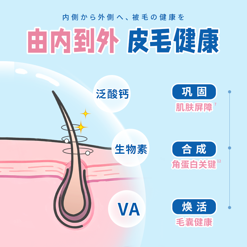 DHC Kitty&Doggy猫咪维生素B复合防掉毛专用牛磺酸粉宠物营养补充剂美化毛保健品 【性价比优选】50g丨约60天