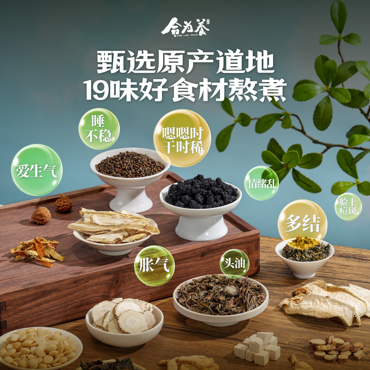 合为养逍遥膏佛手桑葚蒲公英古方养生膏非熬夜非肝气情绪郁瘀膏滋养生 逍遥膏 279g*1罐 (不附赠勺子)