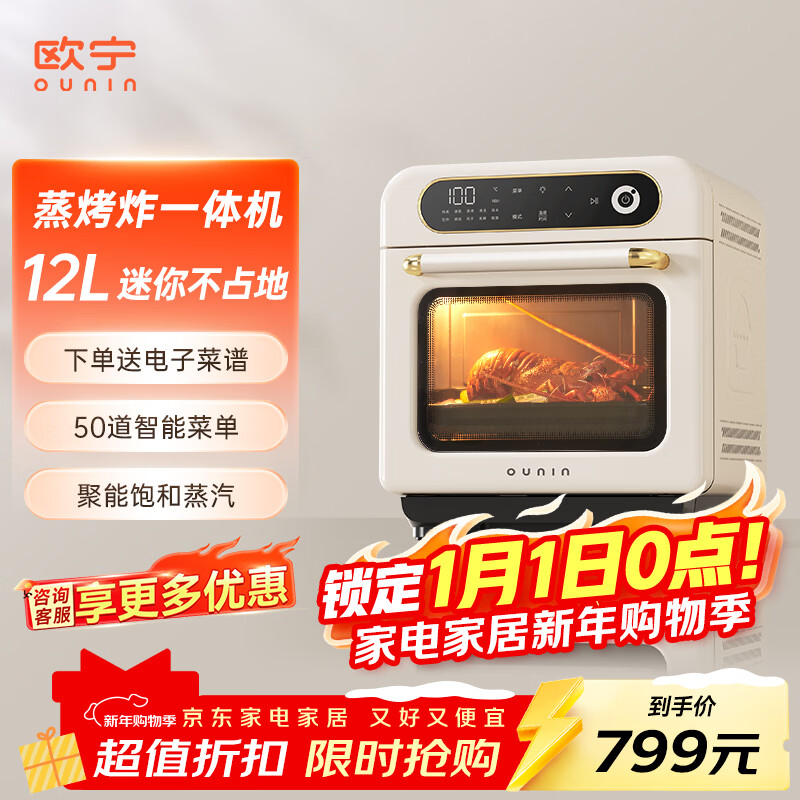 欧宁（OUNIN）小方块蒸烤箱 蒸烤炉家用台式电烤箱12L容量 多功能烤箱智能预约 蒸烤炸一体机