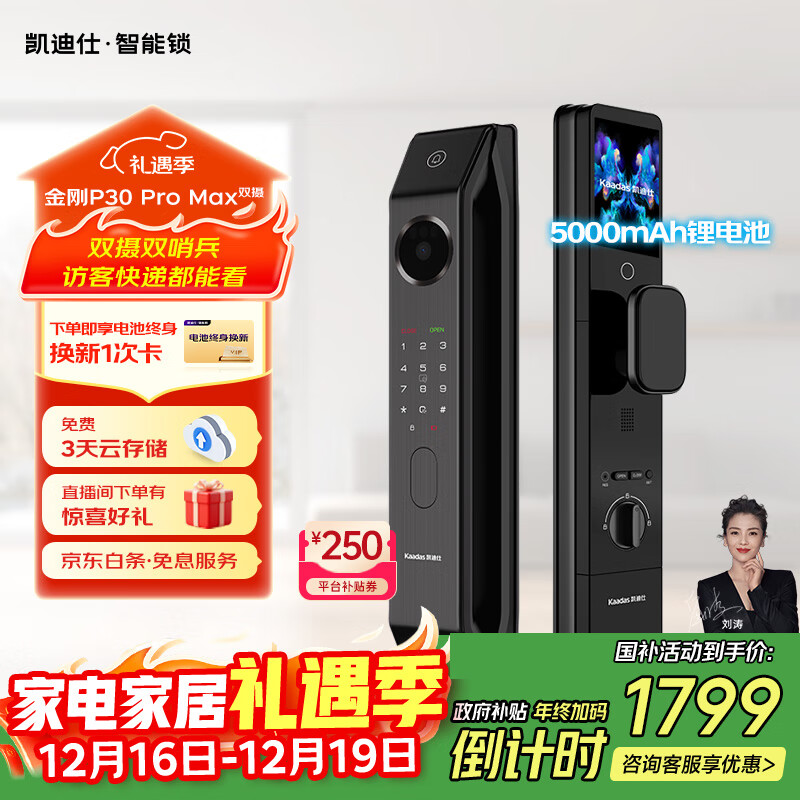 凯迪仕（kaadas）智能门锁 双摄人脸识别可视猫眼大屏指纹锁 金刚P30 Pro Max双摄