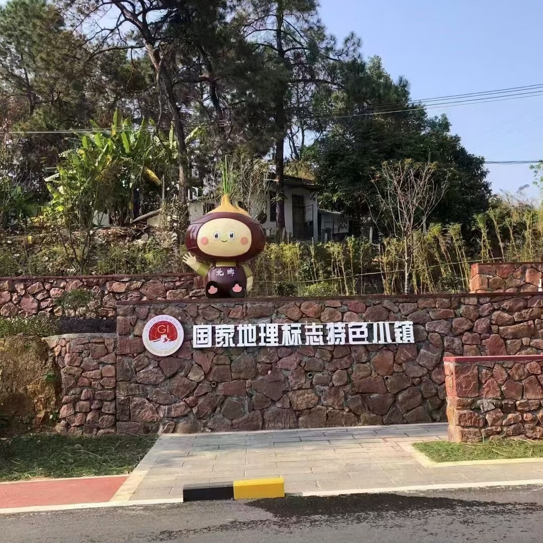 正宗乐昌北乡马蹄新鲜水果现挖即食水果马蹄荸荠特产清甜无渣包邮 3斤 马蹄大果(13-17个/斤)普通装