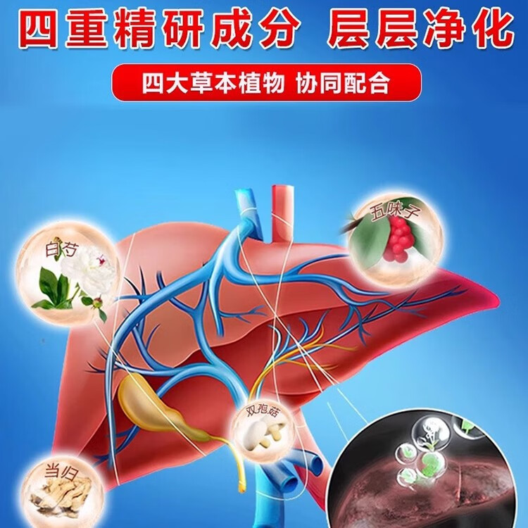 健洛特小蓝瓶 养护肝喝酒熬夜正品 蓝帽子认证 喝酒熬夜养肝养护 10.5g/瓶
