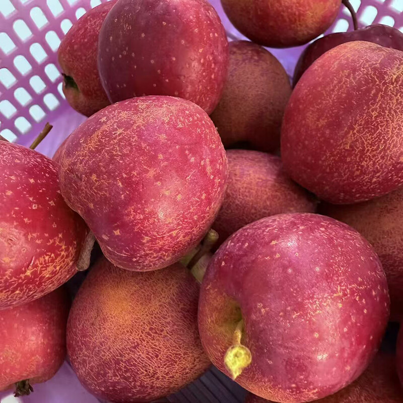 鲜姿麻脸鸡心果东北特产新鲜小苹果脆甜锦绣海棠新鲜孕妇水果水果礼盒 鸡心果净重4斤实惠装(单果30-35g)