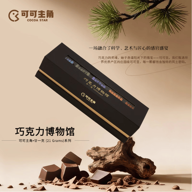 巧克市集巧克力博物馆 果缤纷炫彩礼盒 黑巧克力 纯可可脂黑巧 特殊的礼物 廿一克 (21 Grams)系列黑巧克力 长方形礼盒