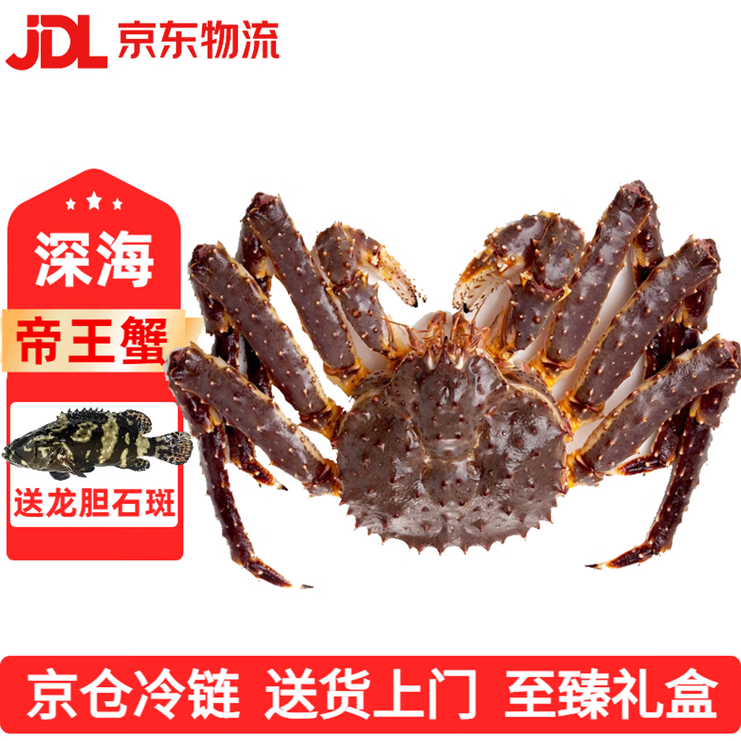 帝王蟹鲜活冰鲜俄罗斯皇帝蟹生冻大螃蟹海鲜春节年货送礼礼盒 6-5.6斤/只【送石斑鱼 送礼首选】