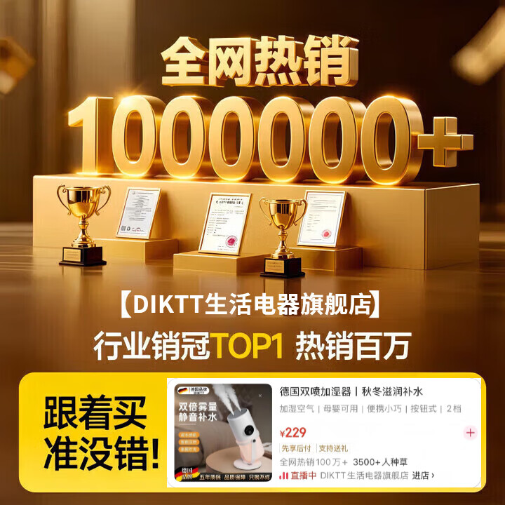 DIKTT德国空气加湿器家用卧室母婴可用居家静音小型便携式宿舍卧室办公室客厅床头加湿空气送女朋友父母 双喷加湿器白色(带支架)纳米级细雾-智能定时 160mL/h 【品质保障,以品质赢得信赖】