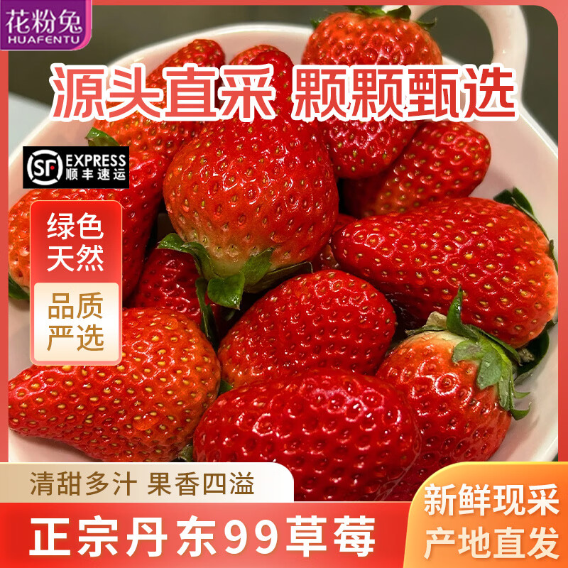 花粉兔丹东大草莓99红颜【顺丰空运多地隔日达】奶油新鲜年货水果礼盒 S+级特级果（单果35-40g） 2斤装【爆款推荐-狠划算】80%选择-净1.8斤