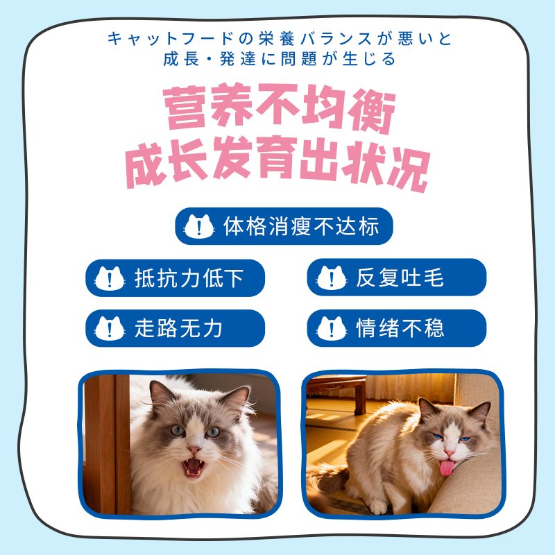 DHC Kitty&Doggy猫咪维生素B复合防掉毛专用牛磺酸粉宠物营养补充剂美化毛保健品 【性价比优选】50g丨约60天