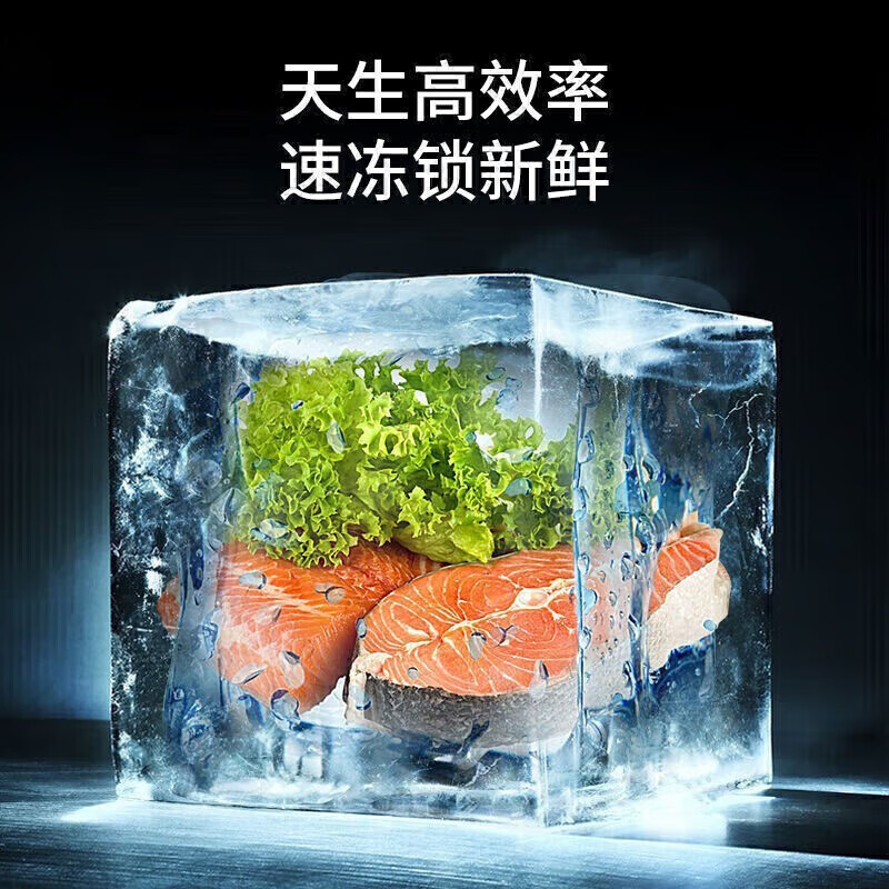 Hueri冰箱一级能效双变频家用小冰箱两门风冷无霜双开门小型大容量电冰箱以旧换新补贴宿舍出租房 【全网热销】净味[138×58]58L
