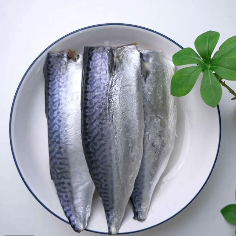 鑫弘洋水产科技（XINHONGYANG）【辽宁特产】葫芦岛海鲜三拼礼盒青花鱼片南美白虾银鲳鱼海鲜年货 青花鱼450g+青虾10条220g+银鲳鱼4条250g/盒