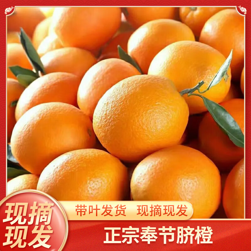 �������������Ŧ�ɶ��� ��ժ�����и�ˮ�� �ؽ���ɽ��� 3��С���Գ�װ ����2.6�� ����60-65mm 6.9Ԫ