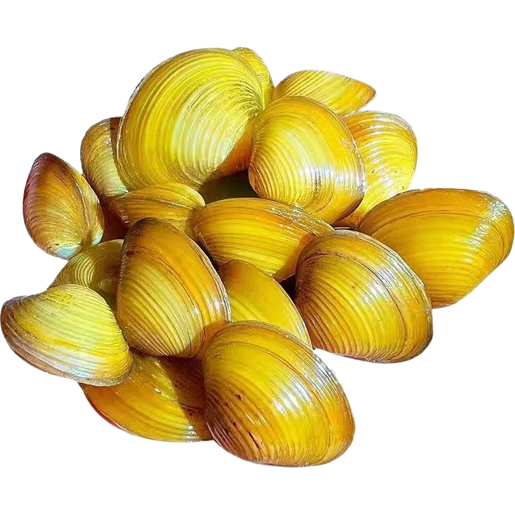 �ƽ�� ���������С�Ӱ� Ϫ� ������˾���ˮ�� 3�� 1.4Ԫ