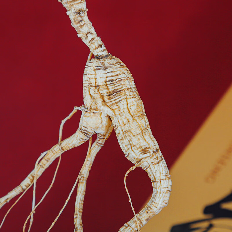 张太和林下参礼盒 吉林长白山人参礼品健康滋补礼品 15年 7g*1盒