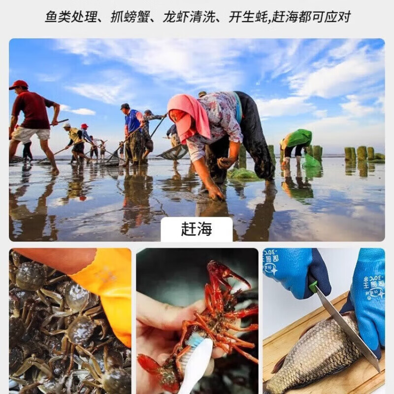 |赶海专用成人手套加厚耐磨无异味防割咬户外宠物园艺采摘抓螃蟹 赶海手套-普通-1双装