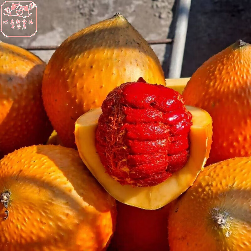 【木鳖瓜】新鲜木鳖果现摘熟果天堂果营养水果榨汁膳食纤维蔬果 2斤(发1-2个果) 广东