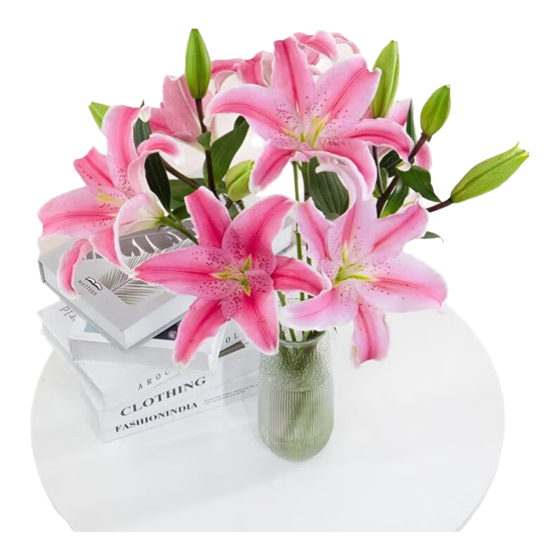 香水百合鲜花云南鲜花直发家用水养插花母亲节情人节礼物新年装饰 随机百合1枝双头 优质百合