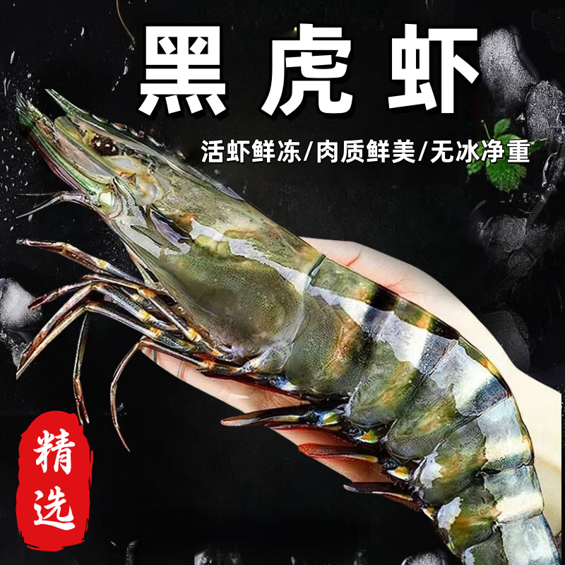CLCEY进口黑虎虾高品质鲜活冷冻黑虎虾大虾类超大老虎虾顺丰包邮到家 22-24厘米共8只 1000g(净重) 礼盒装