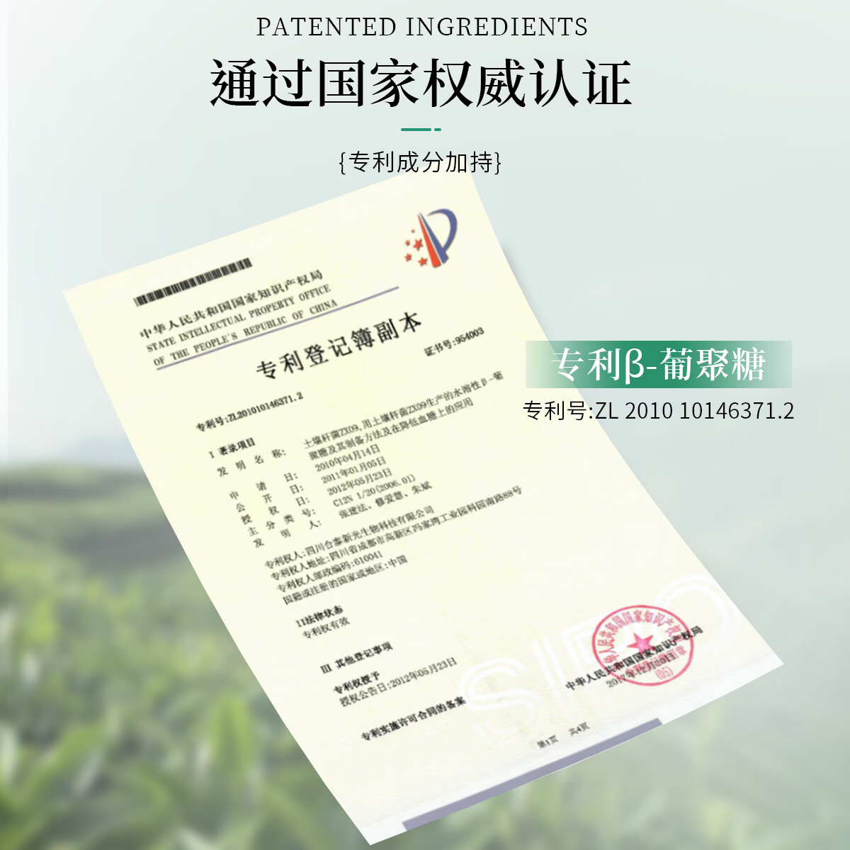 菲小主蓬松控油洗发水洗发露清洁护发滋养 控油蓬松芳香洗发水400ml*1瓶