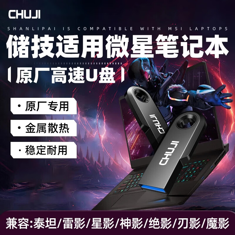储技优盘适用泰坦笔记本u盘雷影/星影/神影/绝影/刃影/魔影高速USB3.0大容量u盘大学生专用存储 笔记本电脑专用U盘(USB3.0) 256GB 【笔记本电脑专用U盘】