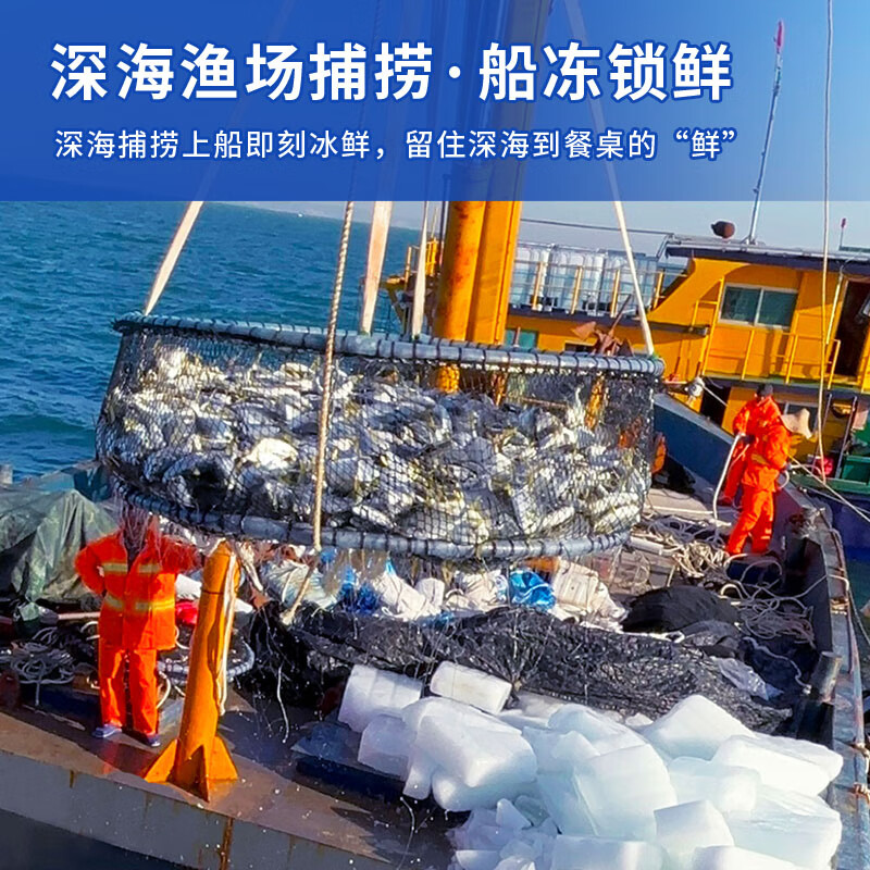 超低温急冻金鲳鱼新鲜深海捕捞400-500g/条，共5条