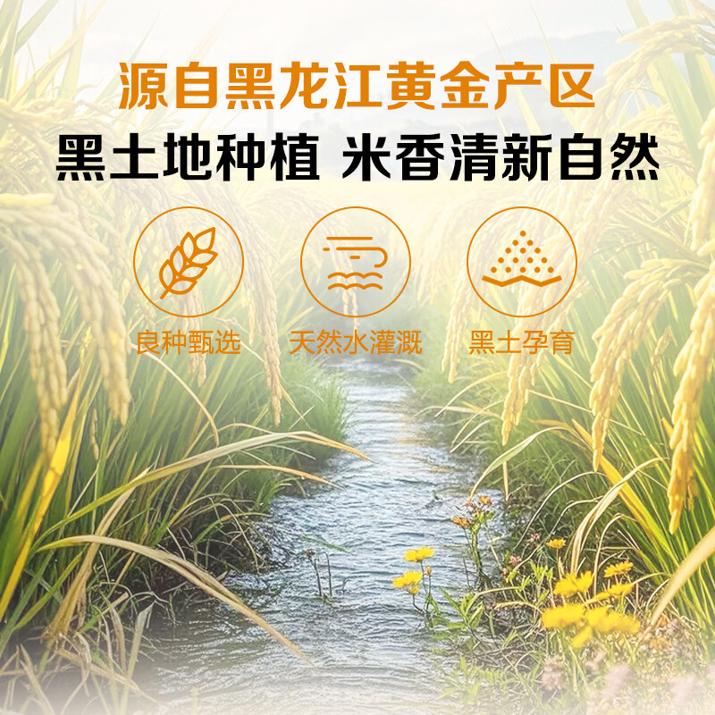 1号会员店长粒香米 5kg 正宗东北大米（十斤）团购 送礼 真空