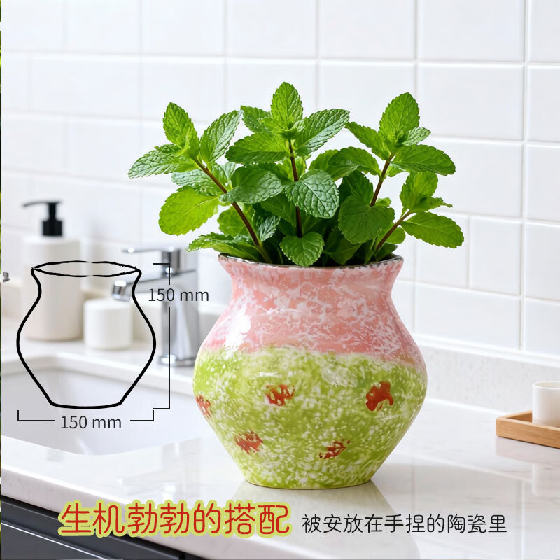 溥畔手绘粗陶花瓶水培绿植多肉花盆桌面艺术摆件家用复古造景花器  造景花瓶「手绘-绿粉」