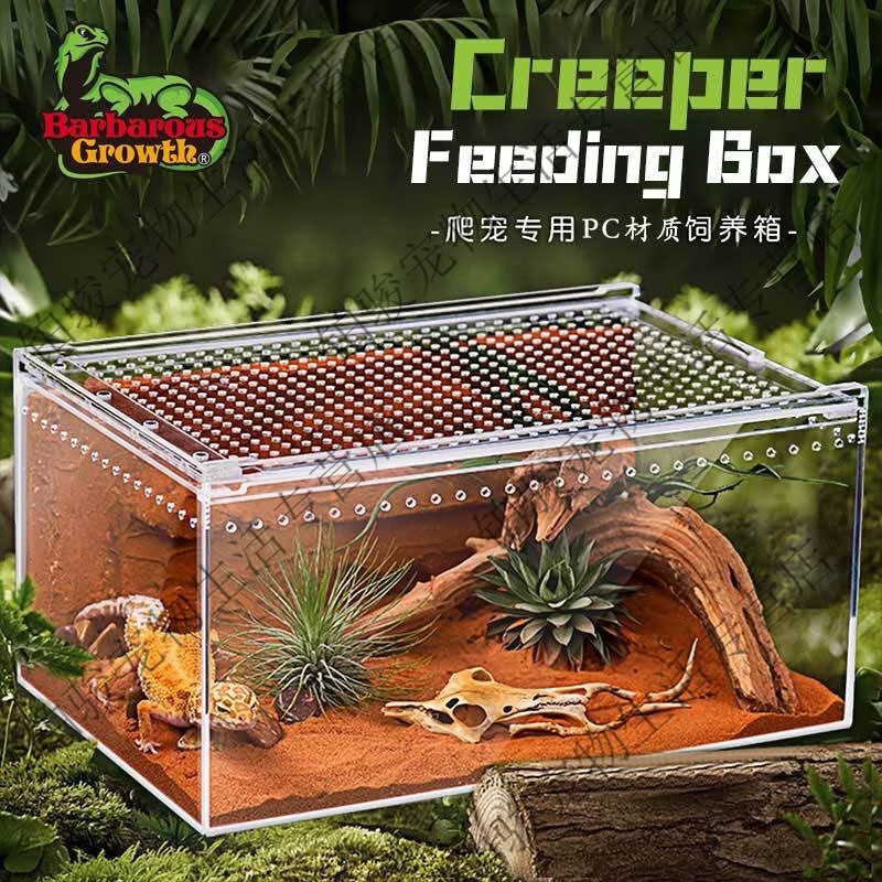 爬宠饲养盒透明亚克力一体免组装寄居蟹饲养缸蝎子蛇昆虫生态箱 小号磁吸开关10*8*7