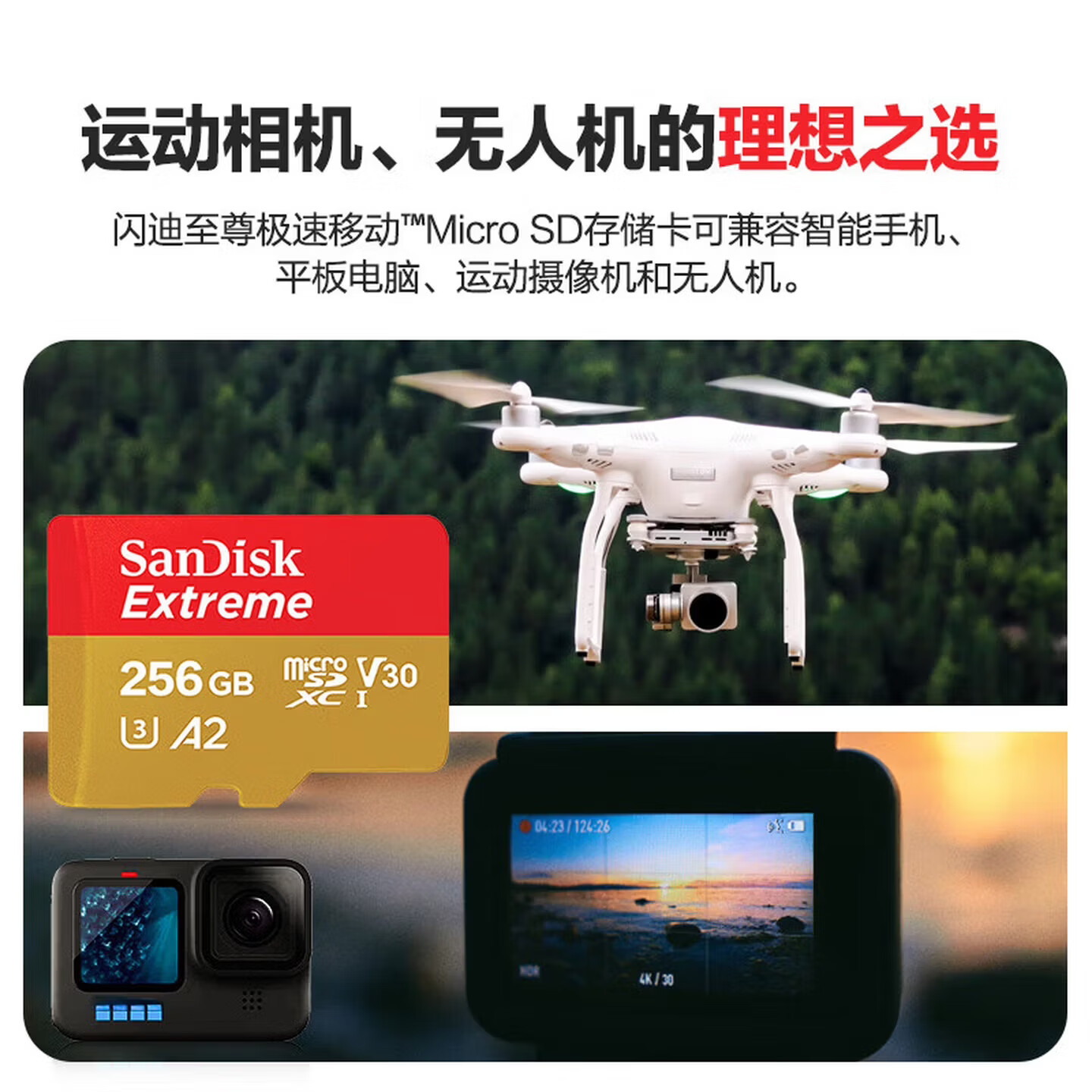 闪迪（SanDisk）创作者系列 新品闪迪TF存储卡行车记录仪运动相机卡支持5.3K录制pocket3内存卡A2 U3 V30极速粉卡 极速金卡256G【190M/S运动相机无人机卡】