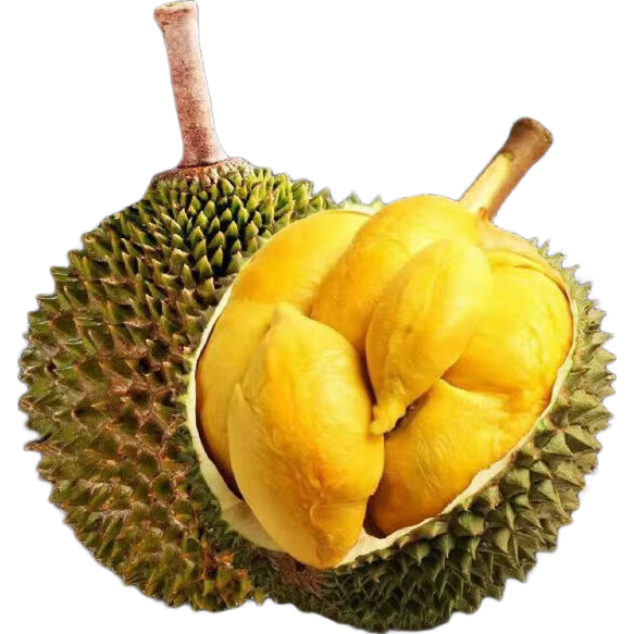 ���ڲ������������������ڴ������������ǽ���D200Һ������ˮ�����ٲ���ѡ�� ����4.5-5�� 227Ԫ