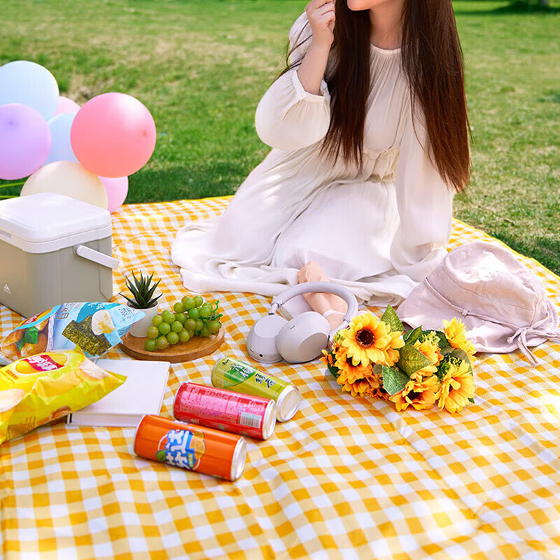 山头林村【精选直发】 野餐垫 加厚便携垫户外烧烤折叠爬行野营露营垫子帐 【150*200cm】