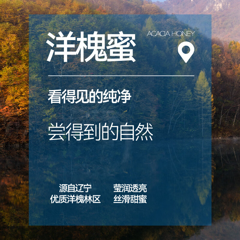 养舒悠九华山黄精蜜渍洋槐蜜正品茶办公室即食泡水煲汤送礼蜂蜜 【单盒装】 180g*1盒