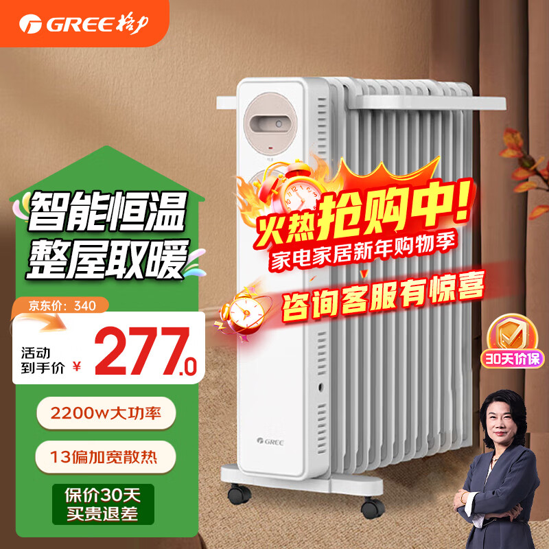 格力（GREE）取暖器电油汀家用电暖器片13片加宽油丁防烫电暖气片 13片 机械式 NDY22-S6022