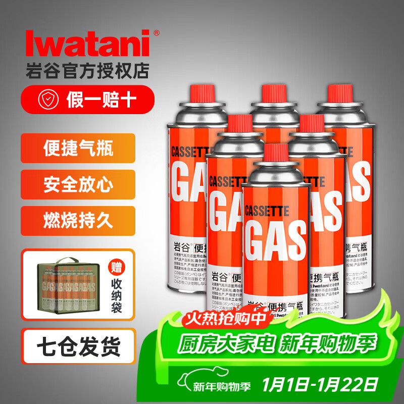 岩谷（Iwatani）户外 便携卡式炉气罐燃气瓶 喷枪丁烷气瓦斯罐装气体 原装250*6+收纳袋