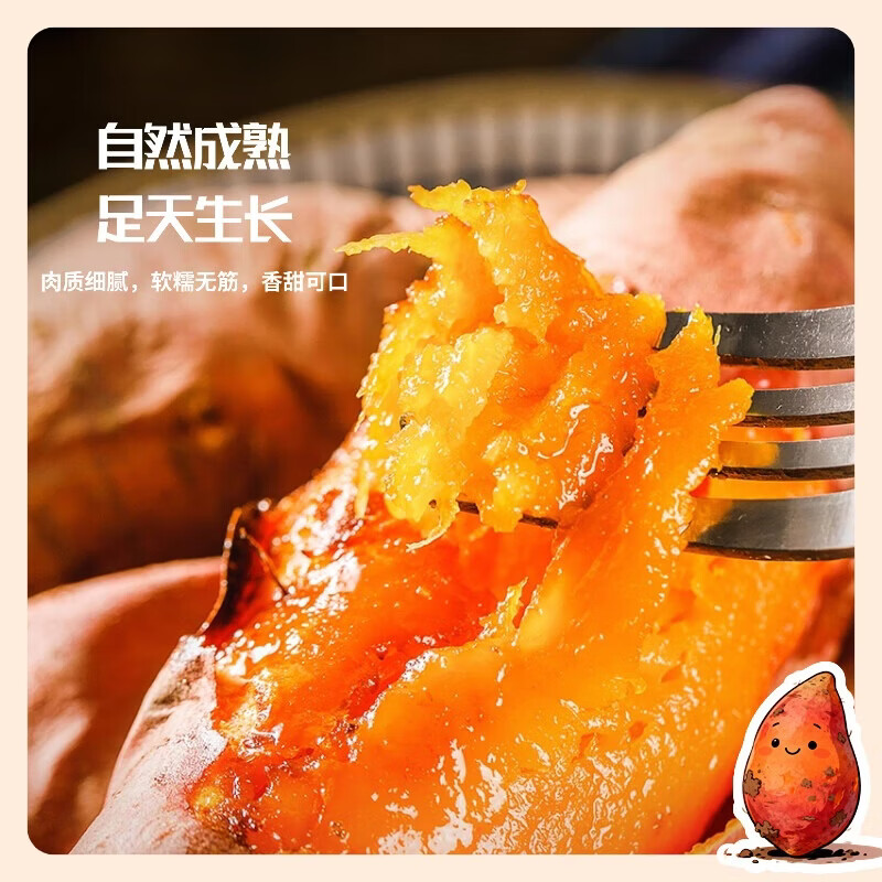 正宗烟薯25红薯地瓜糖心流油蜜薯白哈密冰糖薯烤薯店同薯细腻软糯 【活动专享】5斤 烟薯中果(3~7两)｜圆通