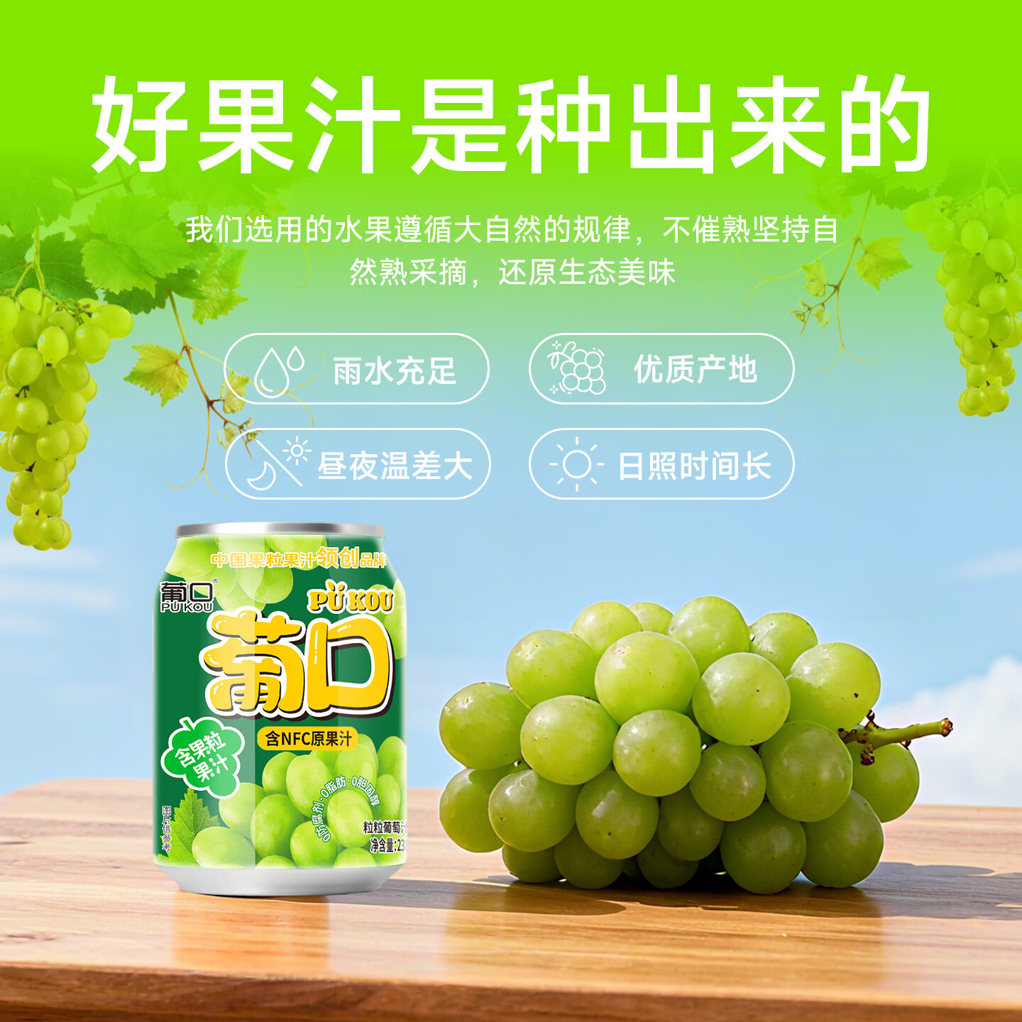 葡口（pukou）大果肉果汁饮料含NFC原果汁嚼着喝的真果粒多种混合口味礼盒装 葡萄味【礼盒装】238ml*24罐