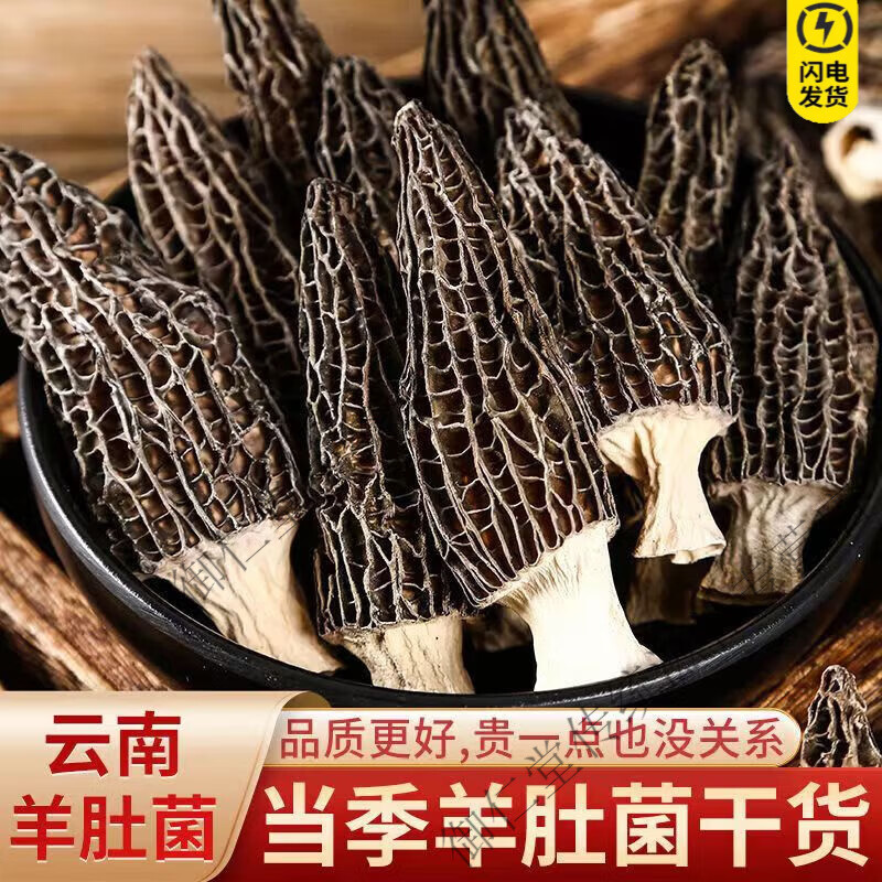 长白山精选羊肚菌500g克头茬精品菌菇云南山珍特产材料南北干货精选新货 头茬 羊肚菌【根本吃不完】 250g*1袋
