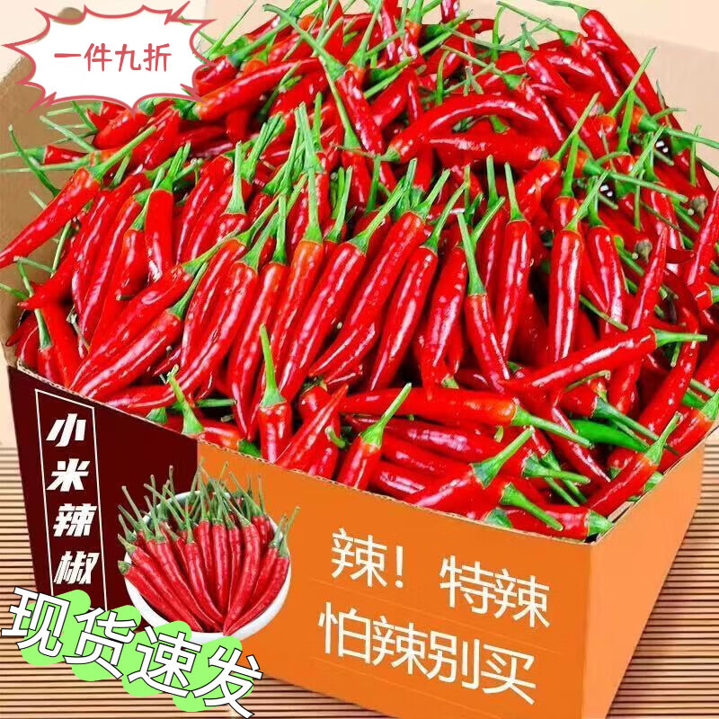 胖·东来同款小米椒新鲜10斤批发特辣小尖椒鲜椒新鲜小米椒特辣王 500g 泡小米椒