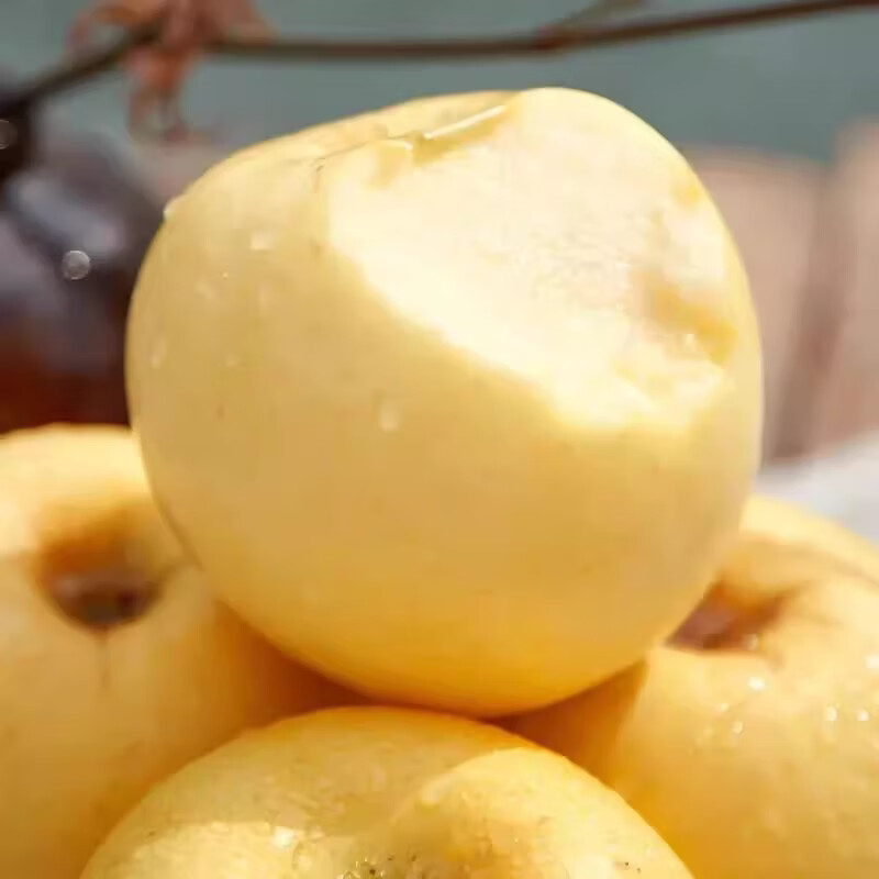 华北强(HUABEIQIANG)奶油富士苹果水果新鲜脆甜多汁时令整箱新鲜采摘多仓发货 净重4.5斤装单果70-75mm