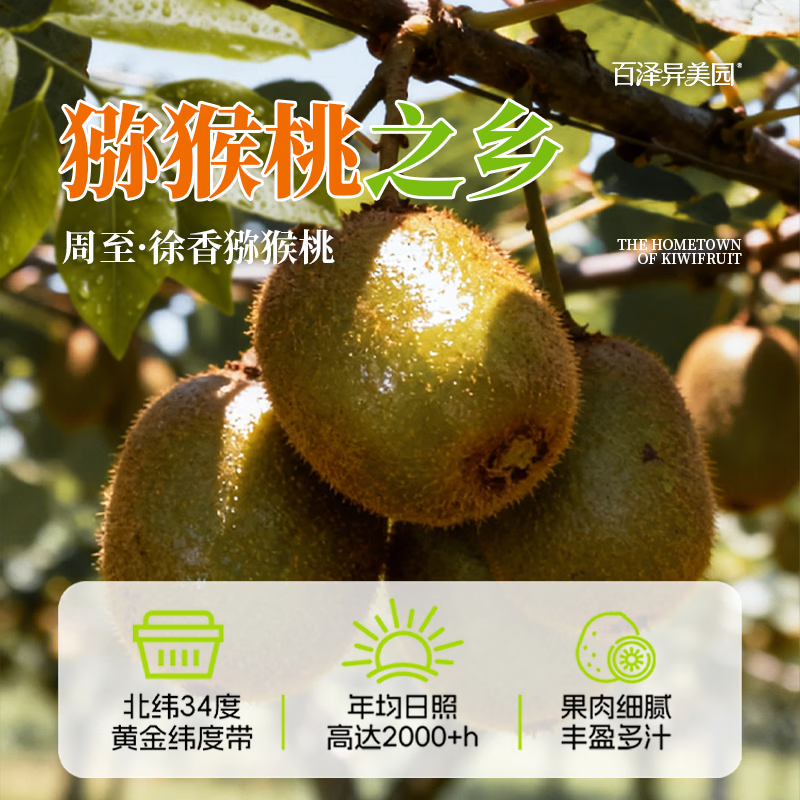 百泽异美园 猕猴桃汁100%HPP鲜榨纯果汁饮料 富含维C低GI饮品 HPP猕猴桃汁(285ml/8瓶)