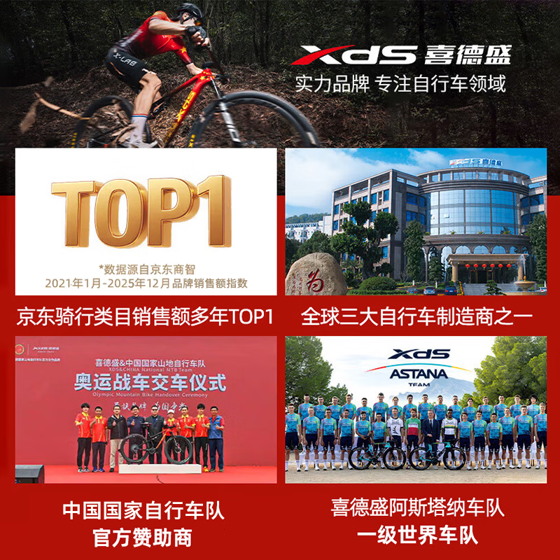 喜德盛（xds）公路车气动骑行头盔内置尼龙骨架男女安全帽黑客配件自行车山地车 银色M码